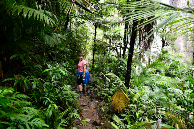 Julia auf dem Diyinda Track zum Wallaman Falls Lookout, Australien