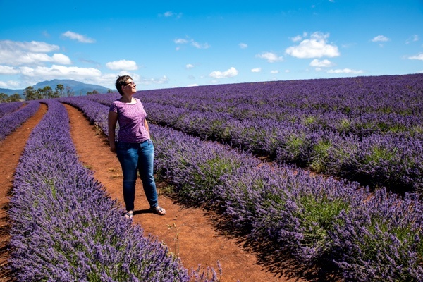 Julia auf der Lavendelfarm Bridestowe in Tasmanien, Australien