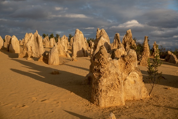 Pinnacles im Nambung Nationalpark, Westaustralien