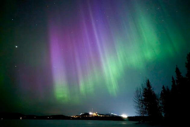 Grüne und violette Nordlichter, Nordlichter, auch bekannt als Lady Aurora, über Ruka, Lappland, Finnland