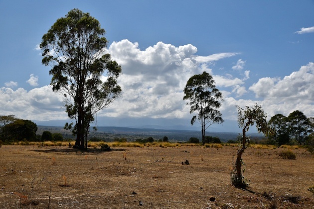 Im Nationalpark Mount Kenya