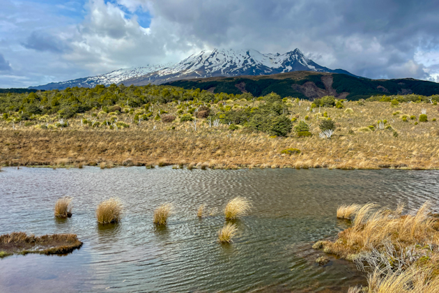 Mount Ruapehu vom Wanderweg zu den Waitonga Falls im Tongariro Nationalpark, Neuseeland 