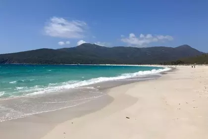 0D591084 78CD 44F8 AA59 878FC8299CBC