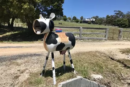 4CEEA526 65FA 4209 B09E 42B0F0D44E18