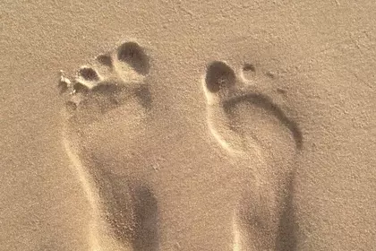 7C51A0D6 E5EB 4793 AF2D 791A7897F7B3