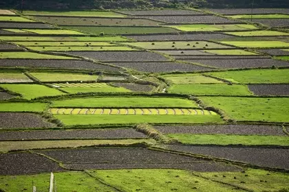 85EB3C99 DBD3 45D1 8F67 2B1DBFB72532