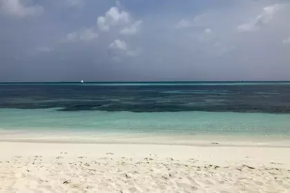 9970B437 D508 46D4 A378 30D4357F740F