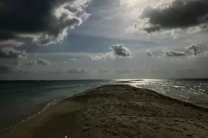 95A33CFC E821 484C BA80 5D788757DA9A