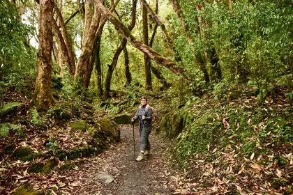 9A6A6B21 F37D 4948 9B9A B5908E54EAB3