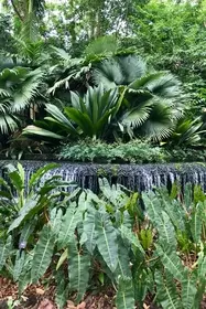 3C1B4F15 C97A 4B5E AB56 1F0828A67659