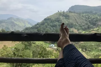 BD8EF5C3 9852 491B B5A7 644921C570A2