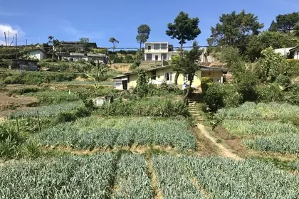 BFA87926 C1BC 4FF1 BAFB DB5412DB8A33