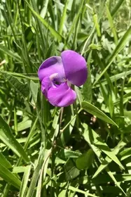 365289EF 661C 441F BD88 9F76FE50E3E1