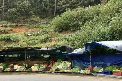 9E5A814E E2A0 4E18 9BBA 5AB96A740D13