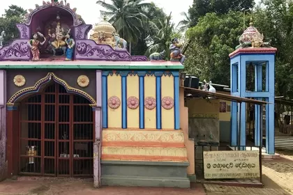 982EE687 7CFA 44F6 B01A 5FC7C421AFA4