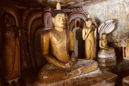 F98B3B5F 0F81 4F7F 8D7E C20E8E239279