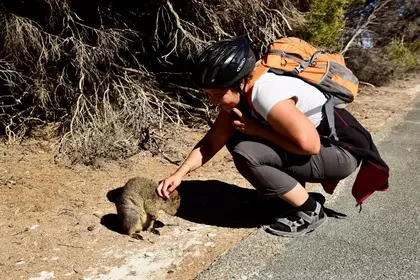 2E10C107 F4F2 47AD A996 60BBF13F6BED