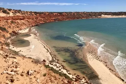 84699966 D35C 4CAF BE9D 8BA2D5AF703B