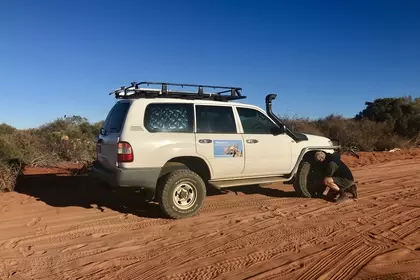 84699966 D35C 4CAF BE9D 8BA2D5AF703B