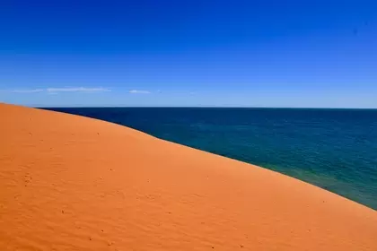 84699966 D35C 4CAF BE9D 8BA2D5AF703B