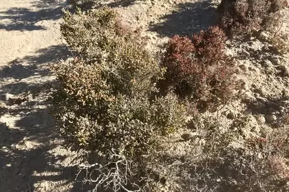 84699966 D35C 4CAF BE9D 8BA2D5AF703B