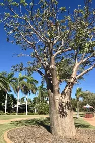 6F309E5A 203C 490F 8DF4 0B5ACAB771DF