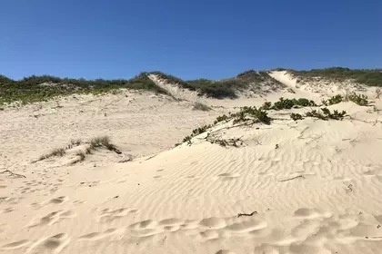 6F309E5A 203C 490F 8DF4 0B5ACAB771DF