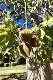 6F309E5A 203C 490F 8DF4 0B5ACAB771DF