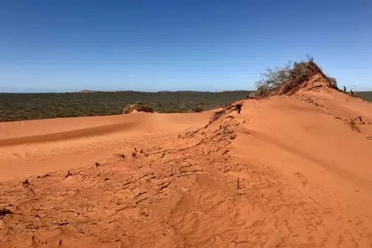 84699966 D35C 4CAF BE9D 8BA2D5AF703B