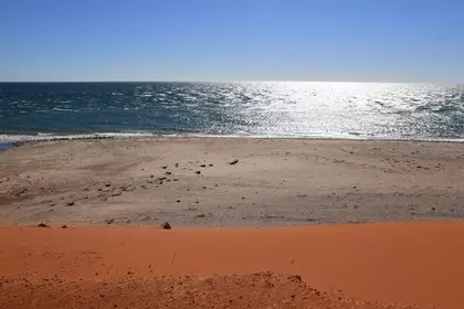 84699966 D35C 4CAF BE9D 8BA2D5AF703B