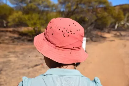 84699966 D35C 4CAF BE9D 8BA2D5AF703B