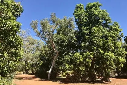 6F309E5A 203C 490F 8DF4 0B5ACAB771DF