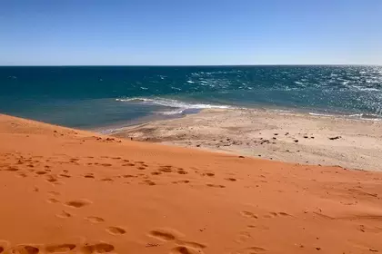 84699966 D35C 4CAF BE9D 8BA2D5AF703B