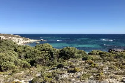 2E10C107 F4F2 47AD A996 60BBF13F6BED