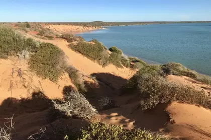 84699966 D35C 4CAF BE9D 8BA2D5AF703B