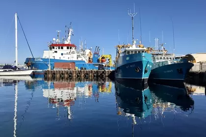 84A5BFB6 8619 487D 9537 9A2D4E57078F