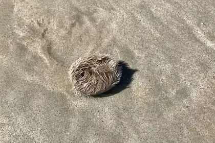 6F309E5A 203C 490F 8DF4 0B5ACAB771DF