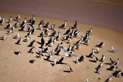 84699966 D35C 4CAF BE9D 8BA2D5AF703B