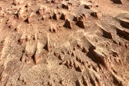 84699966 D35C 4CAF BE9D 8BA2D5AF703B