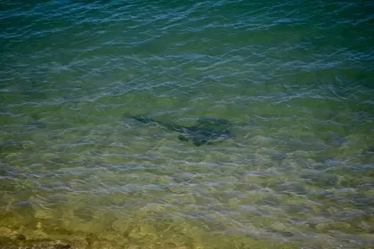 84699966 D35C 4CAF BE9D 8BA2D5AF703B