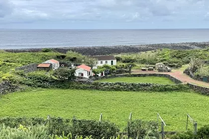 2D88455B C1C3 4820 9B9C 107DE8106469