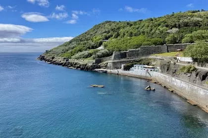 368E5E0A 88D9 4092 9A57 AFD42452DB96