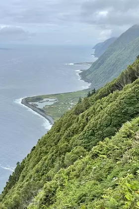 40A0B648 A2BA 43C4 8B3C 3217DB700CD1