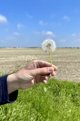 F347F20D FD67 4C47 A2B0 FC4ED4EBB0D2