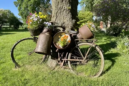 5C798A76 C0FB 4765 B9C0 362D84C8450A