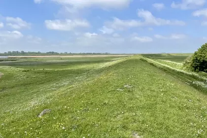 5F04CC81 D949 4E03 9289 2A3CDD2387A4