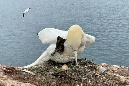 D9947176 21FE 4F13 B8EF BF2A5EEE3B1C