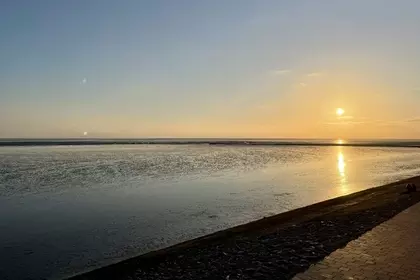 6985845F 05EF 4EF6 B36A D0EEE4C94341