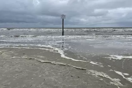 6D588D60 DC83 498D 9EB6 A8E141758F2A