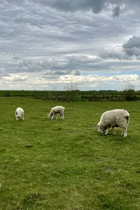 72135EC7 3C9A 4EF6 95B3 35BEE8F3F16C